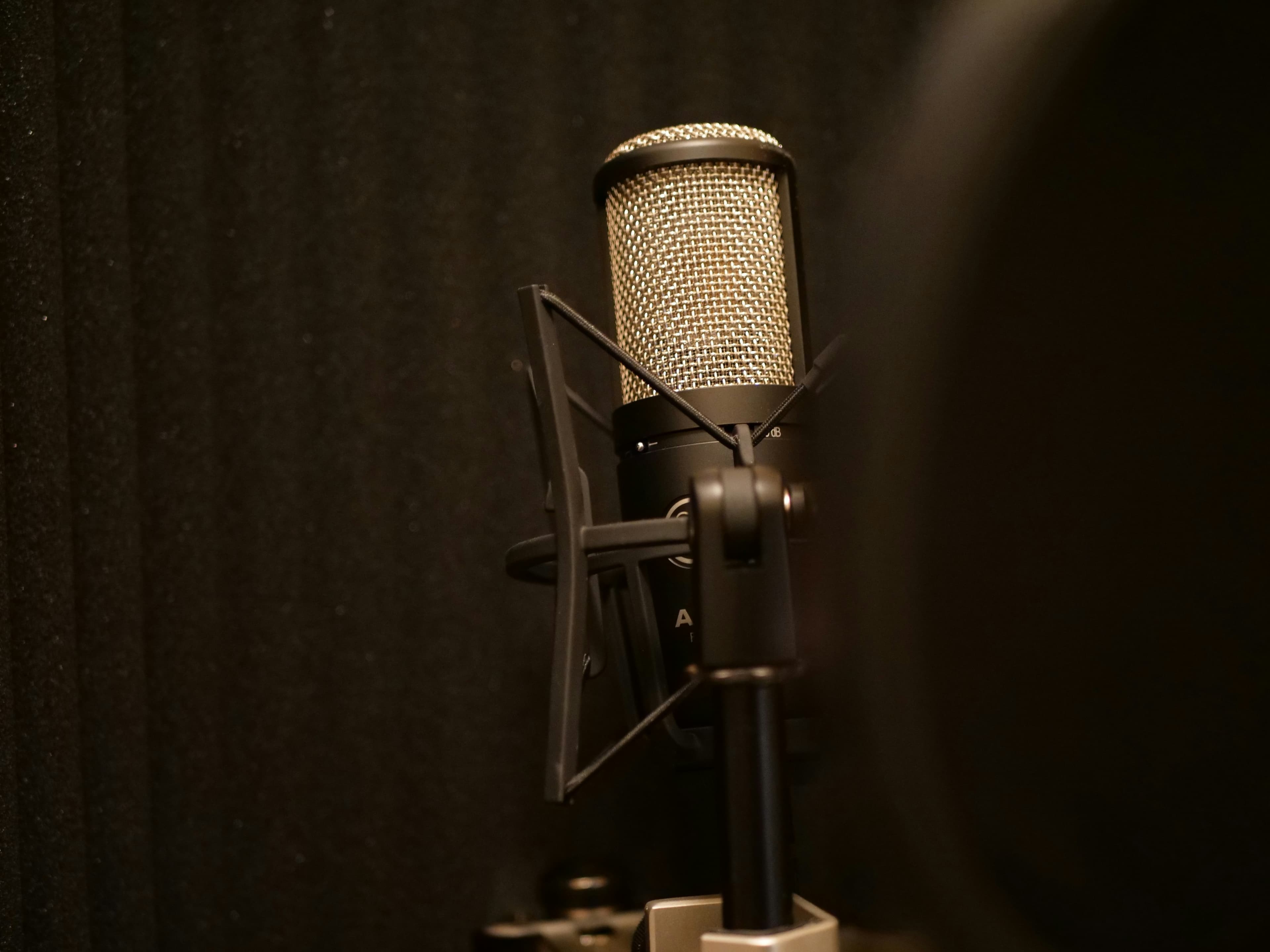 Long-Term Engagement: Strategies for Retaining Your Favorite Voice Talent